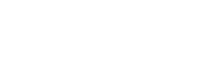 Bizlr